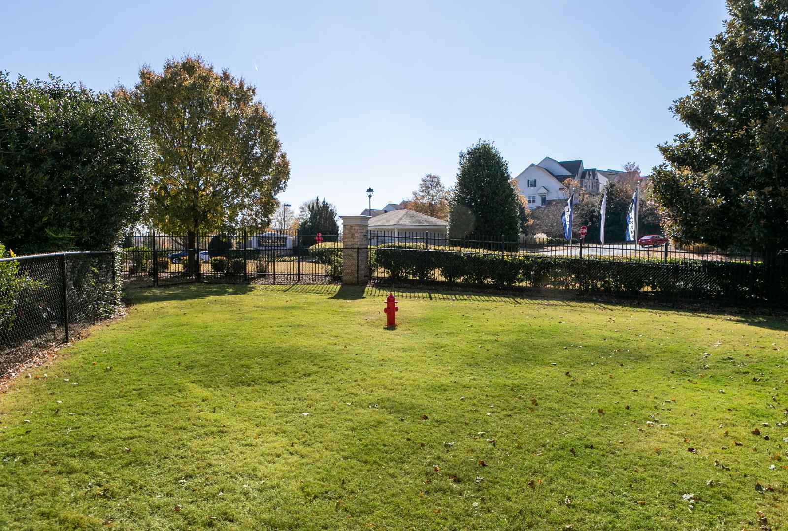 grassy fenced in area for dog park