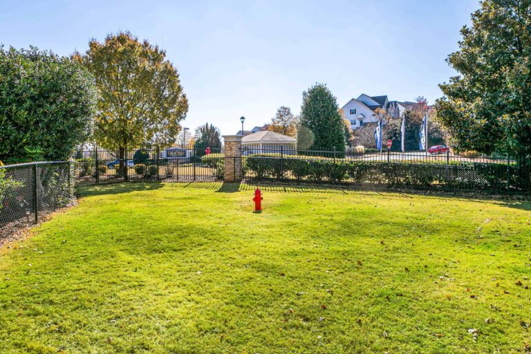 gated off-leash pet park with fire hydrant